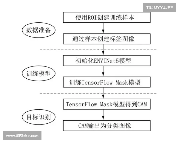 巴舒亚伊语言背景的五大要素解析及其文化影响探讨